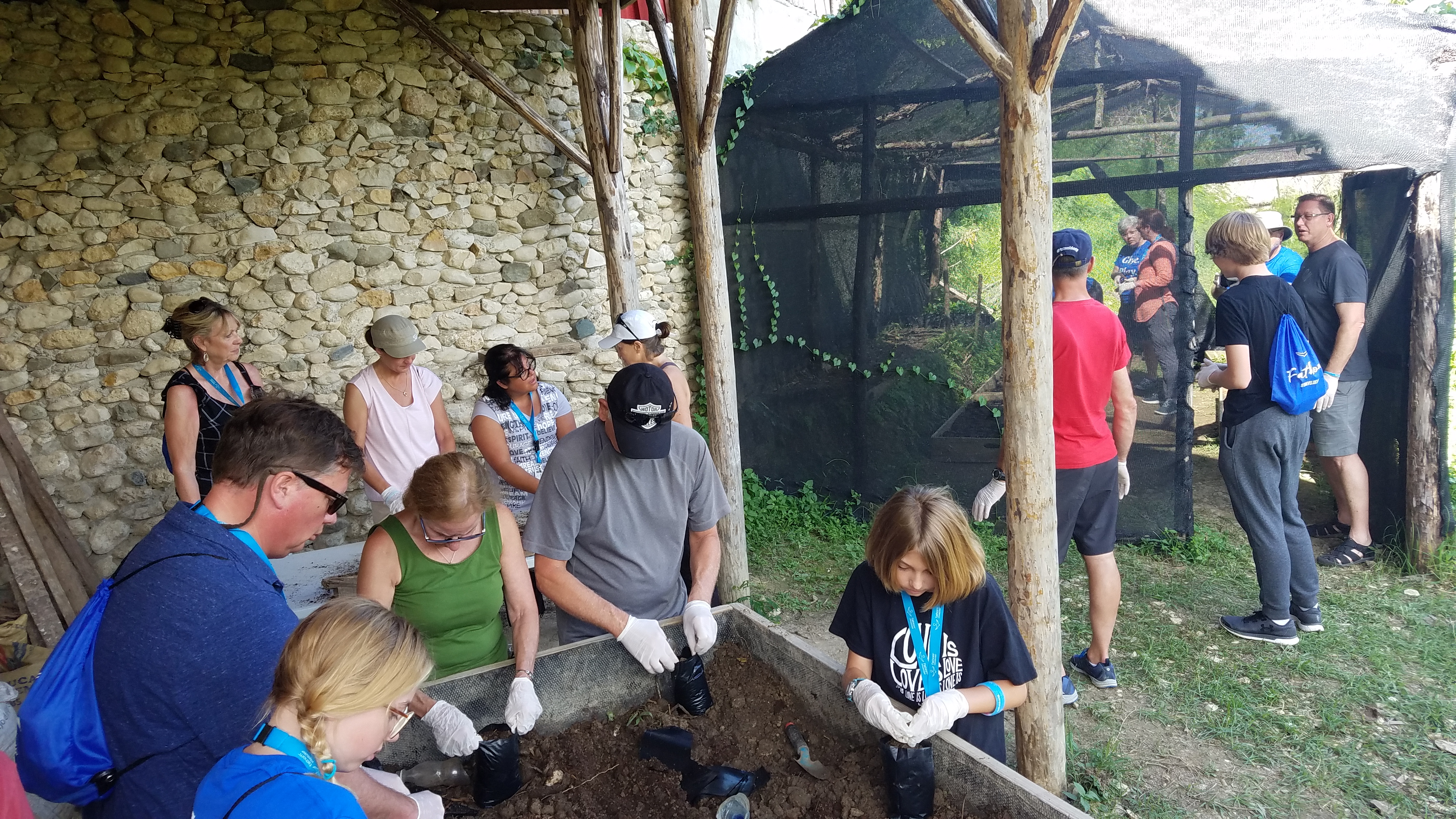 Coffee from planting to nursery